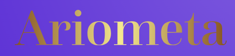 Ariometa IT